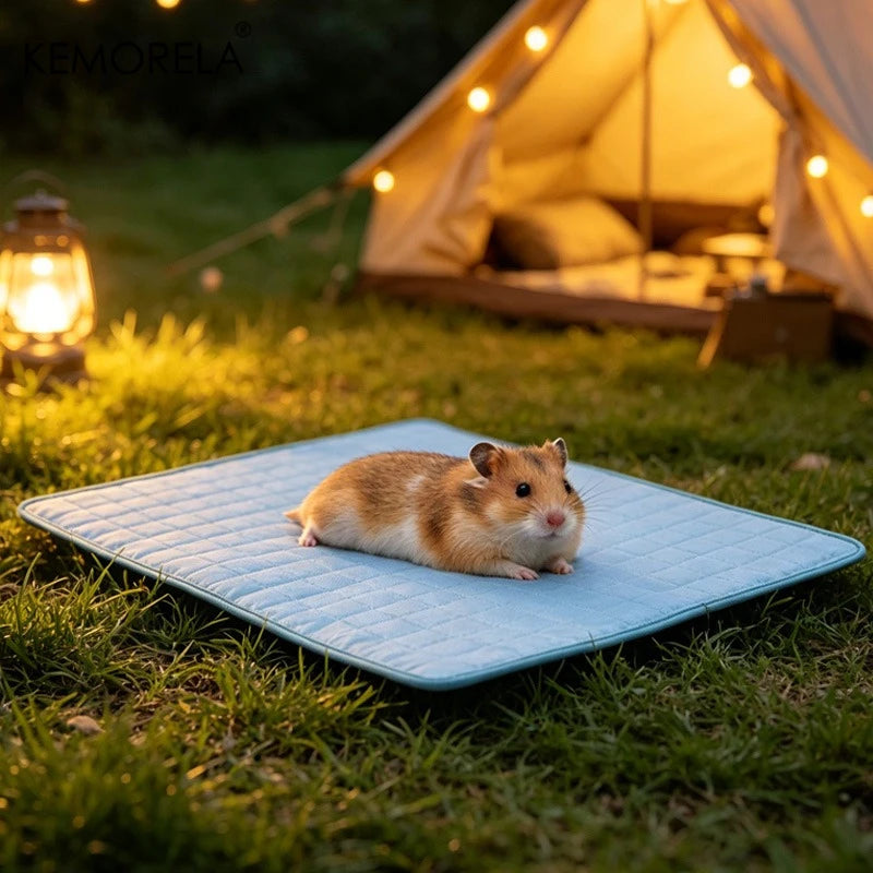 KEMORELA Ice Silk Dog Cooling Mat – Breathable Pet Bed S–XL Dog Cooling Mat Axl 30x40cm