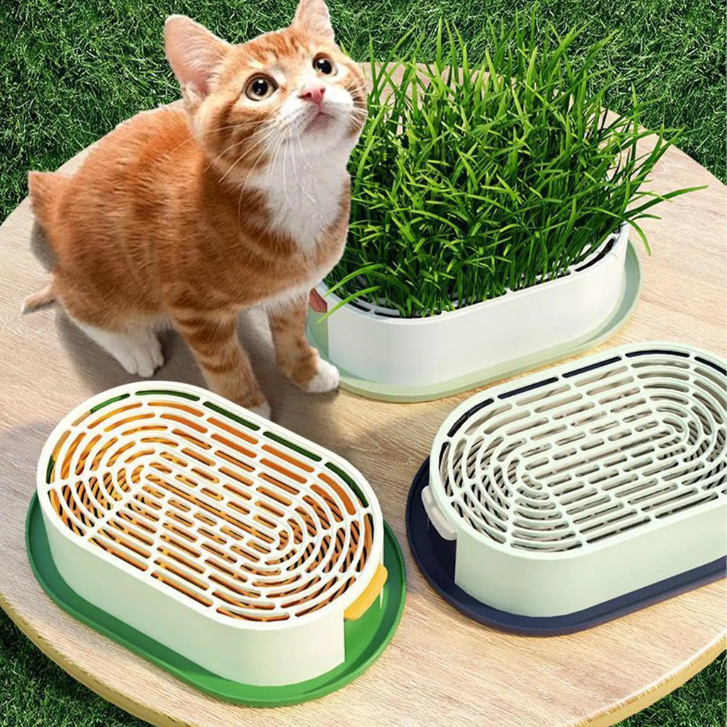 Cat Grass Grow Station – Hydroponic Catnip Planter for Cats Cat Grass Planter Axl