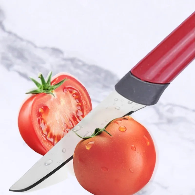 4-Piece Stainless Steel Fruit Knife & Peeler Set – Candy Colors Fruit Knife Set Axl
