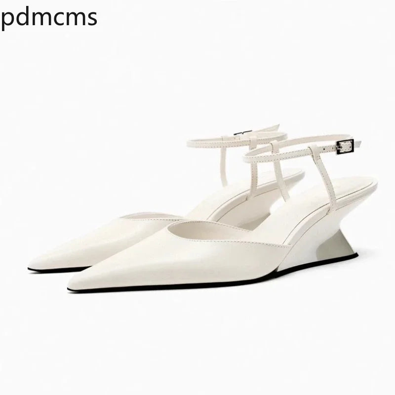 Women's Pointed Toe Wedge Sandals – Buckle Ankle Strap Wedge Sandals Axl
