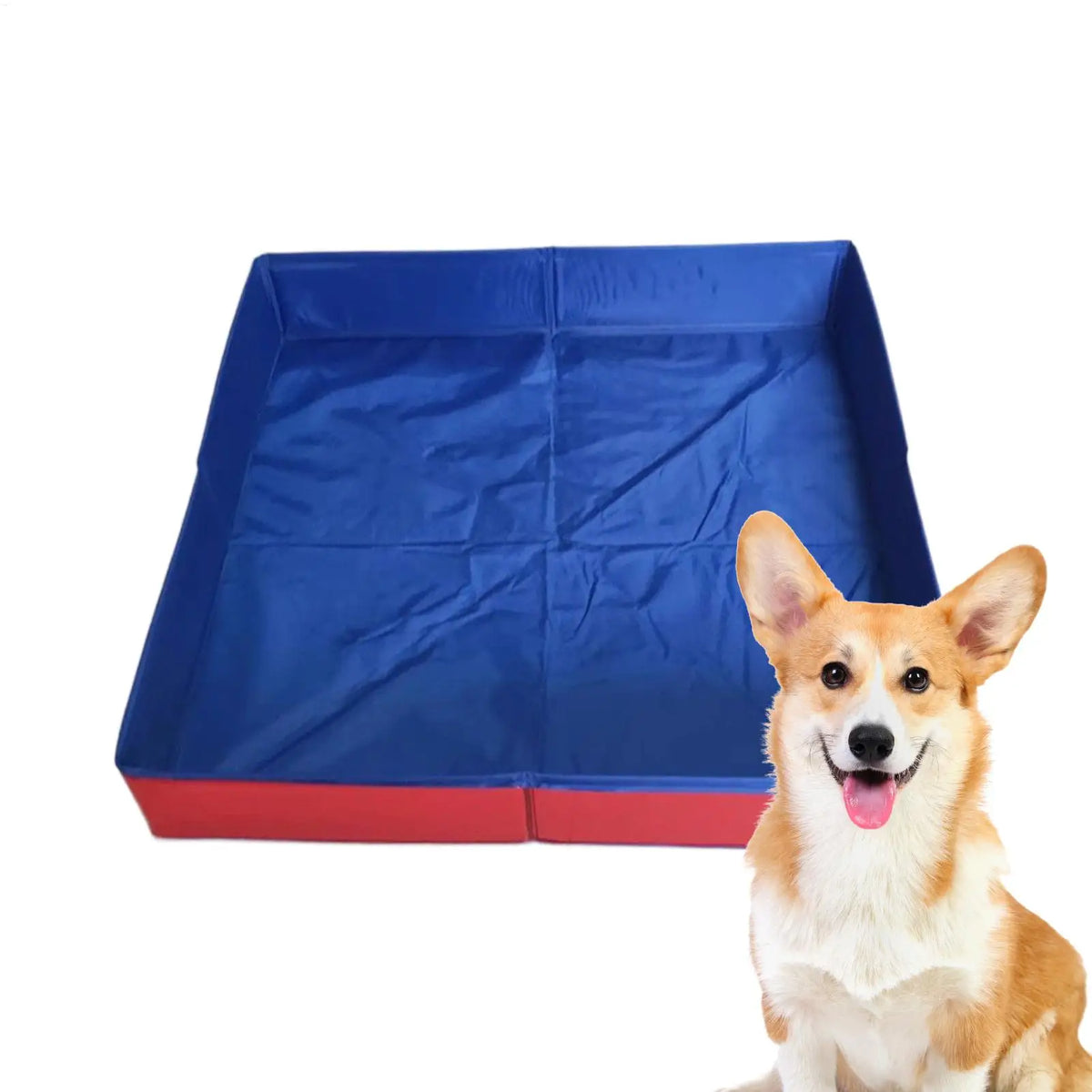 Foldable Pet Pool PVC Bathtub for Dogs, Cats & Small Pets Foldable Pet Pool Axl