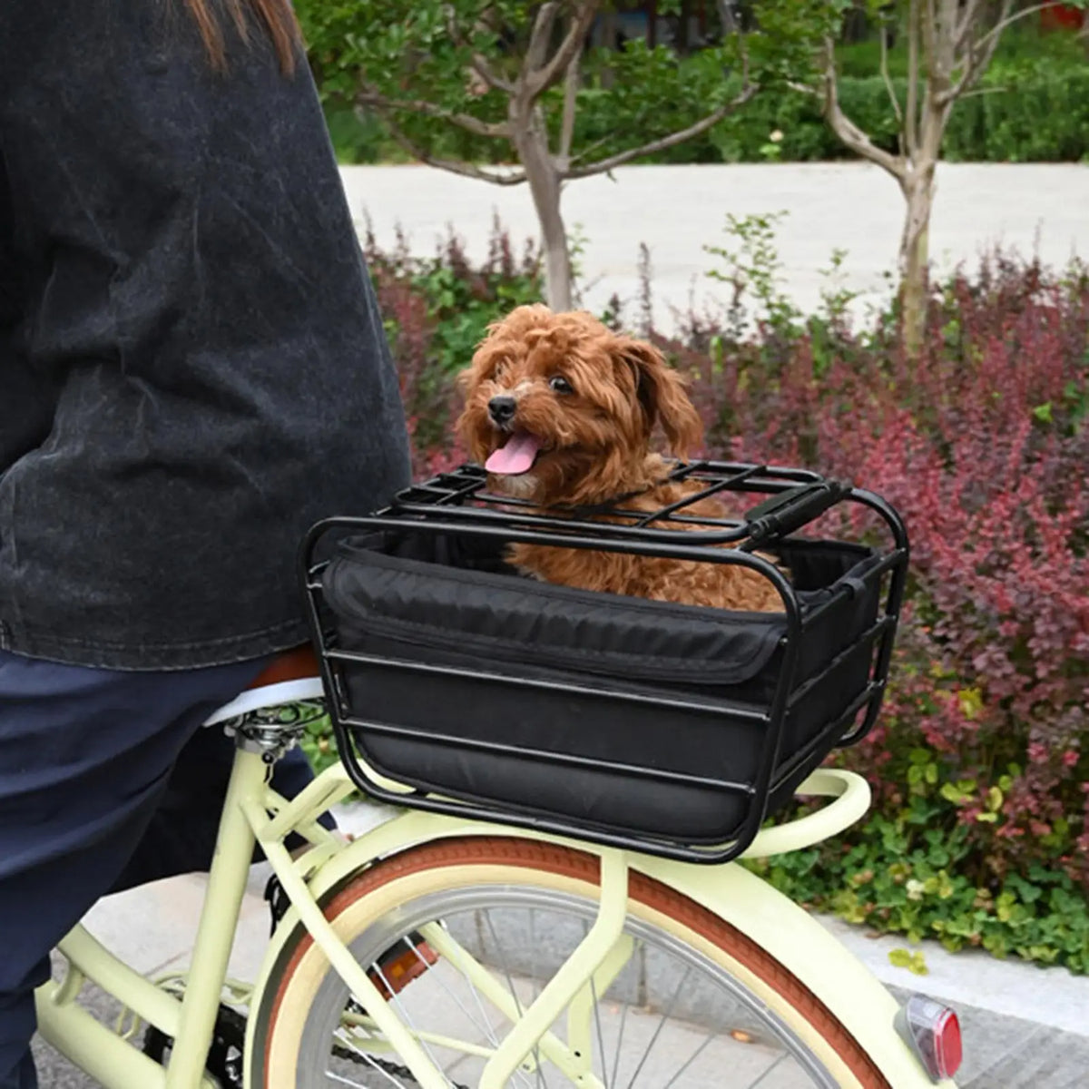 Bicycle Rear Basket with Locking Cover – Bike Dog Carrier Bike Rear Basket Axl