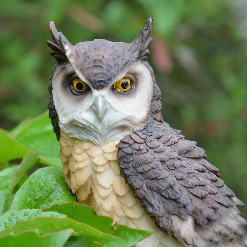 Cute Owl Resin Figurine – Indoor & Outdoor Garden Ornament Garden Figurine Axl