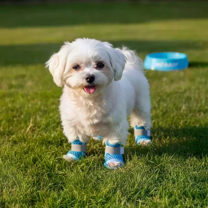 Mesh Dog Shoes 4-Pack – Nonslip Breathable Paw Protectors Dog Paw Protectors Axl