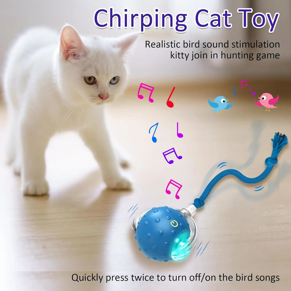 Motion-Activated Cat Ball Toy – Chirping, LED & Auto Rolling Interactive Cat Toy Axl