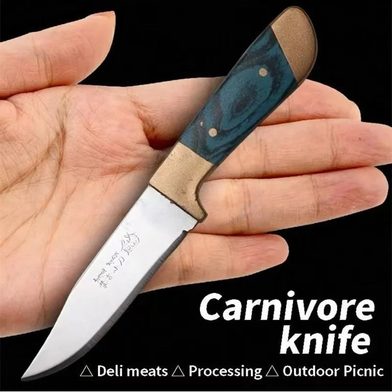 Mini Portable Stainless Steel Fruit & Steak Knife with Sheath Portable Utility Knife Axl