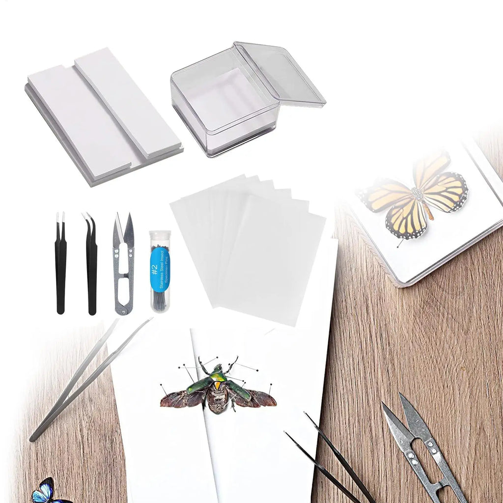 DIY Butterfly Specimen Kit – Insect Pin Wing Board Display Set Specimen Display Kit Axl
