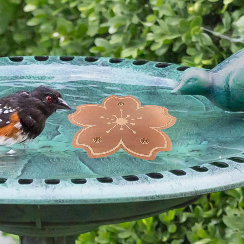 Copper Bird Bath Purifier Disc | Triple-Point Support Bird Bath Accessory Axl