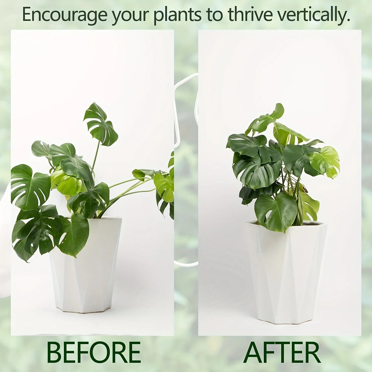 3-Pack Metal Monstera Climbing Plant Support Trellis Plant Support Trellis Axl