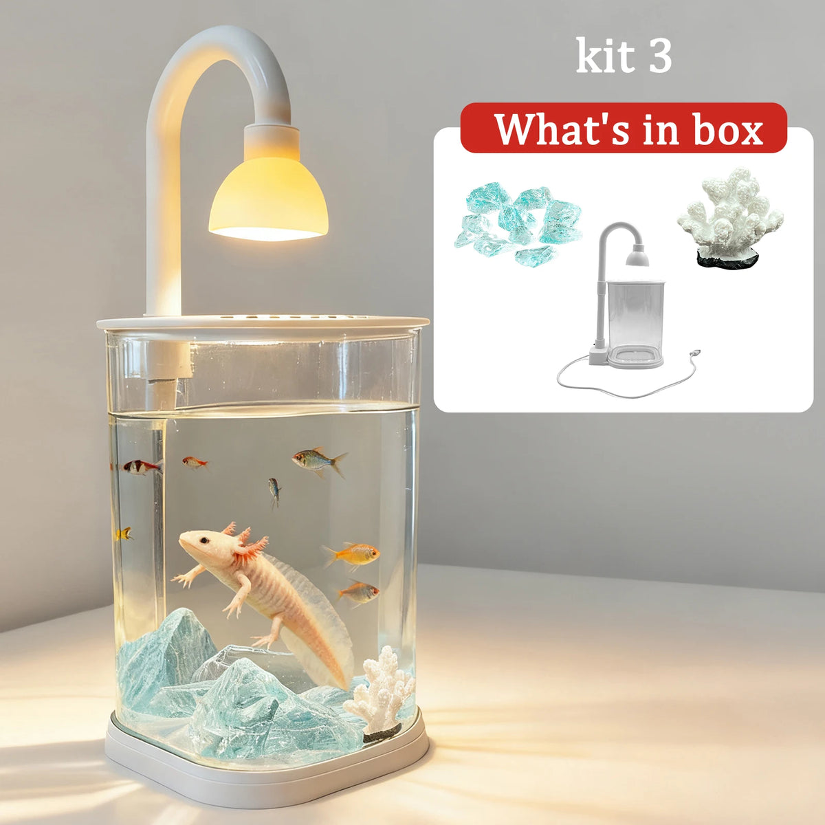 Starter Kit Small Tabletop Fish Tank with Light – Kids Gift Tabletop Fish Tank Axl Kit 3 S