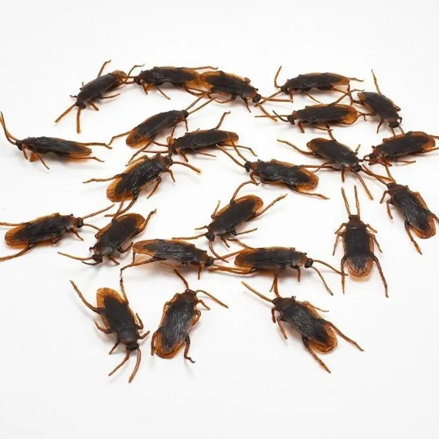 10-Pack Realistic Fake Cockroaches – Halloween Prank Toy Set Prank Novelty Toy Axl