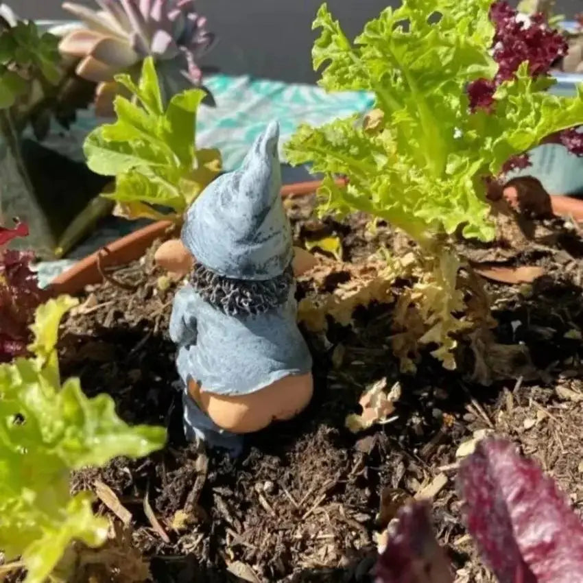 Funny Dwarf Garden Gnome Statue – Resin Novelty Figurine Decor Garden Gnome Statue Axl