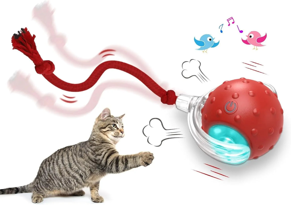 Motion-Activated Cat Ball Toy – Chirping, LED & Auto Rolling Interactive Cat Toy Axl Red