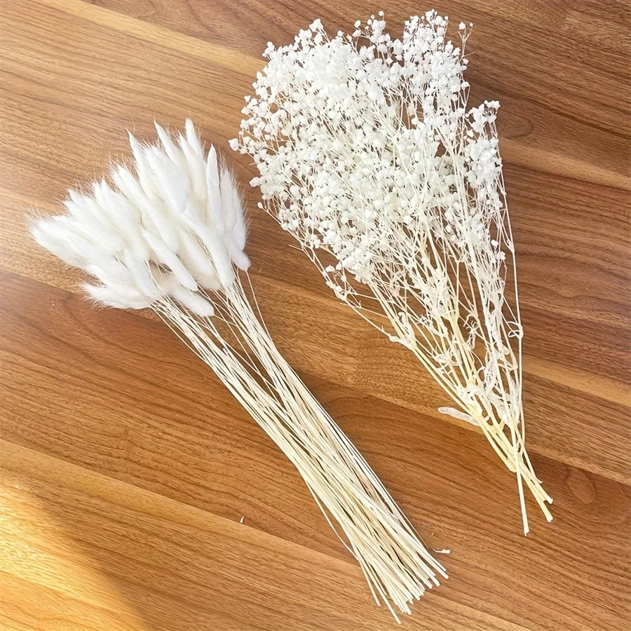 White Gypsophila Pampas Grass Dried Flower Bouquet | Boho Décor Dried Flower Bouquet Axl