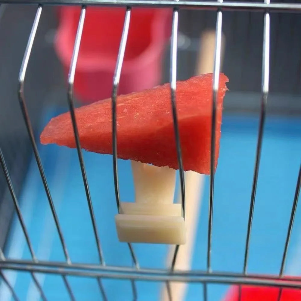 5-Pack Bird Cage Fruit Forks – Parrot Snack Holder Set Bird Cage Feeder Axl