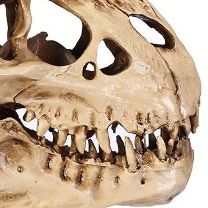 Resin Dinosaur Skull Fossil Model – Halloween & Room Decor Decorative Figurine Axl