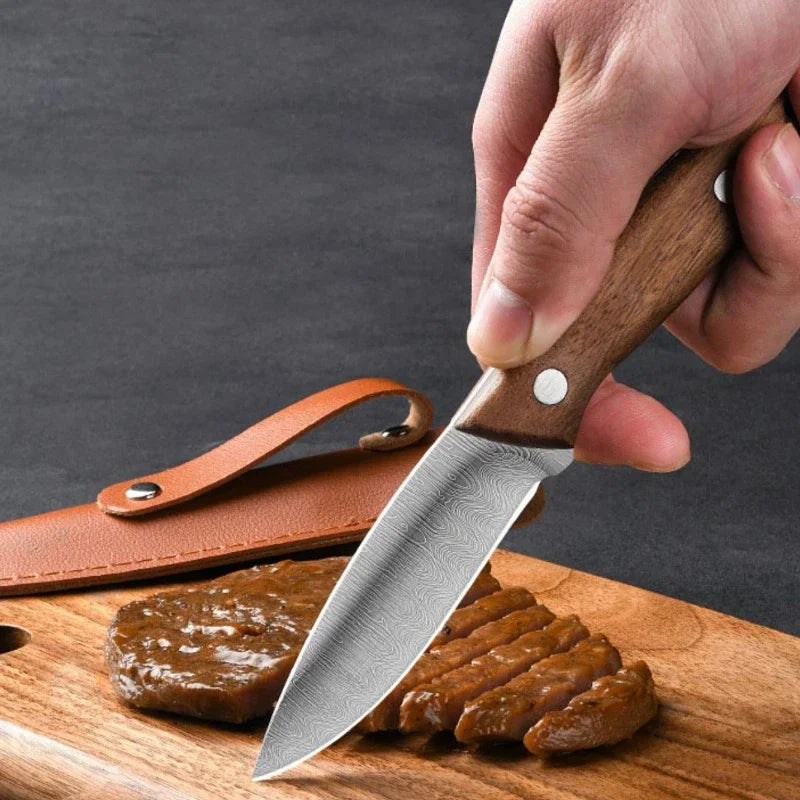PLYS Stainless Steel Fruit Paring Knife with Holster Paring Knife Axl