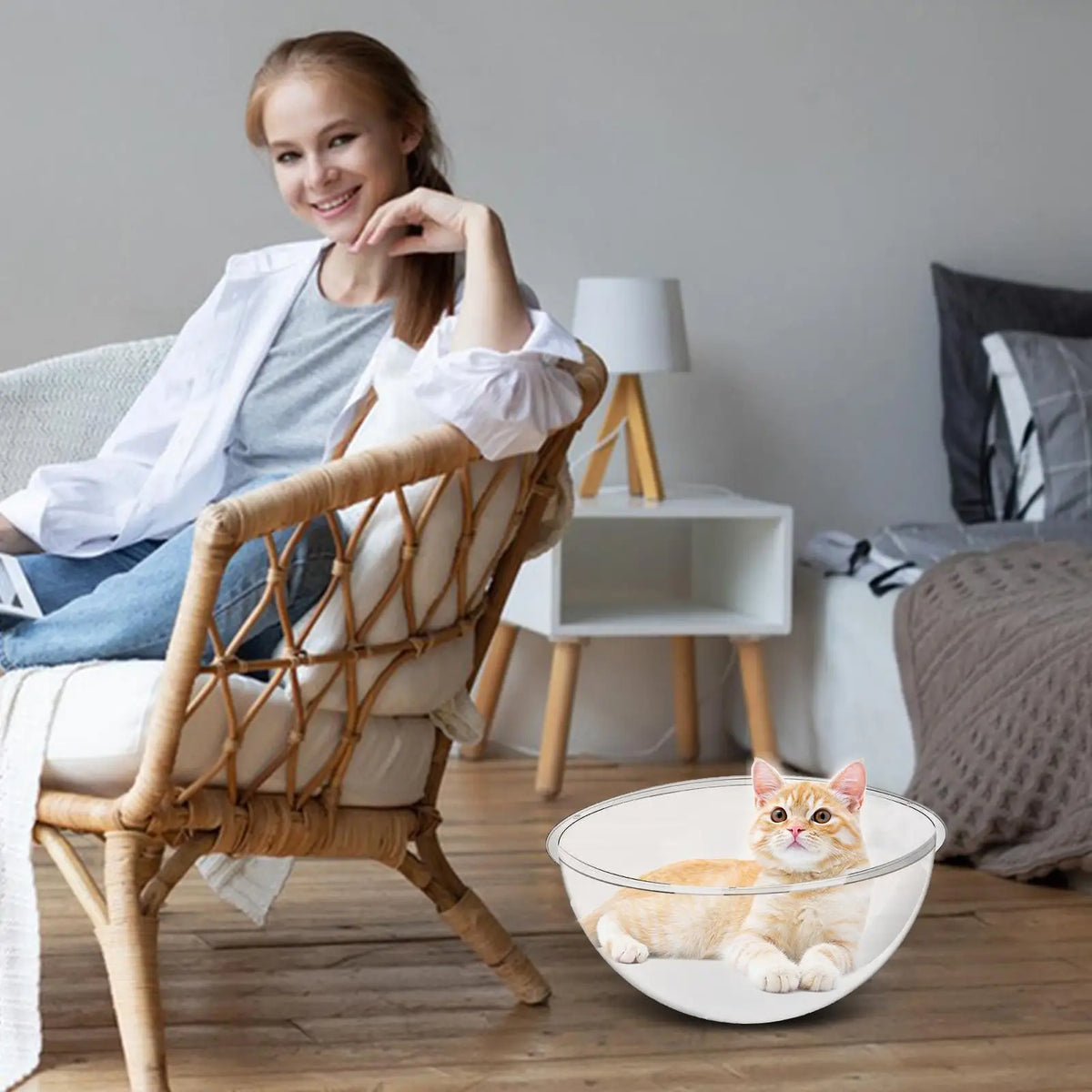 Clear Acrylic Dome Cat Bed – Indoor Climbing & Sleeping Nest Acrylic Cat Bed Axl