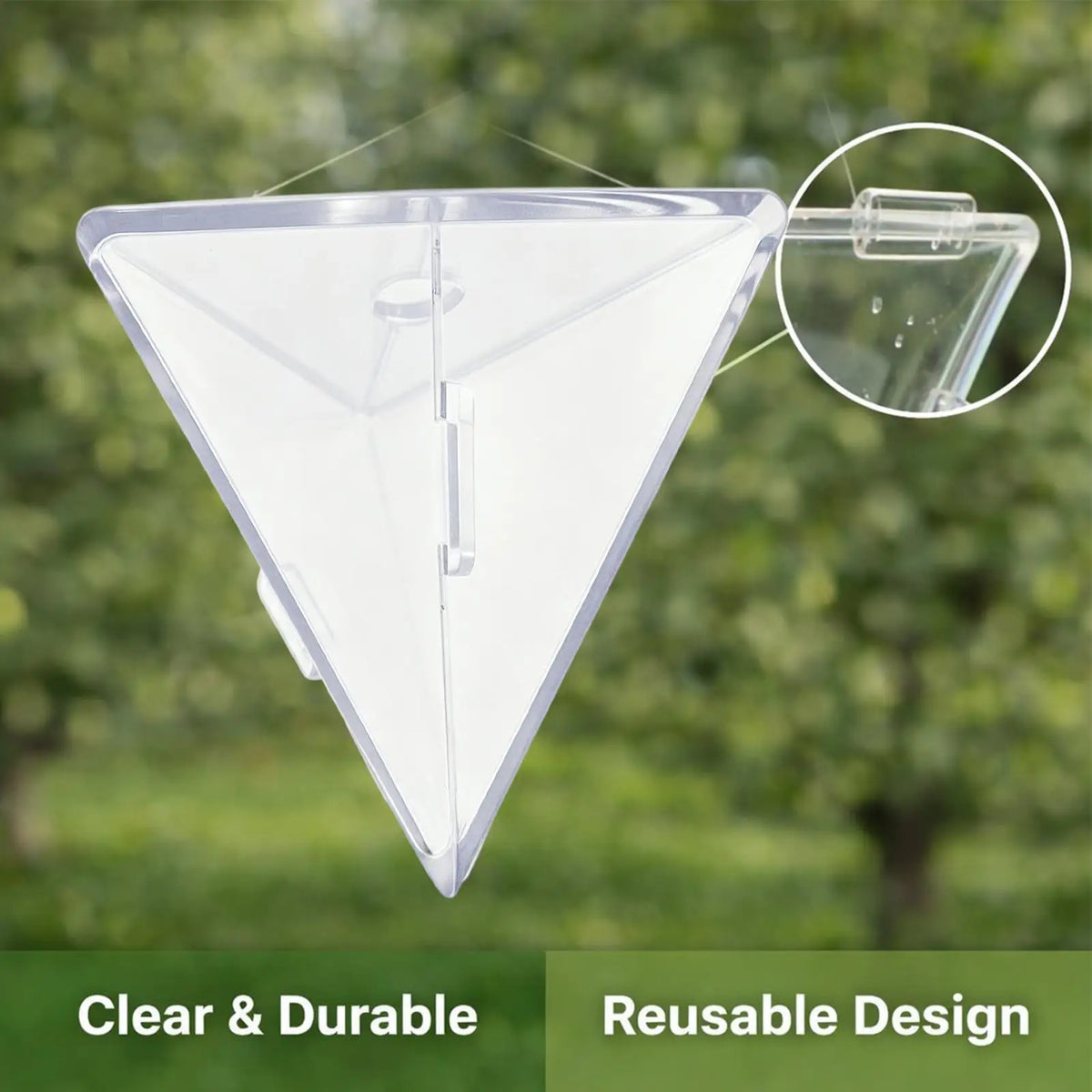 Transparent Fruit Shaping Molds – Reusable Vegetable Grow Molds Fruit Shaping Mold Axl