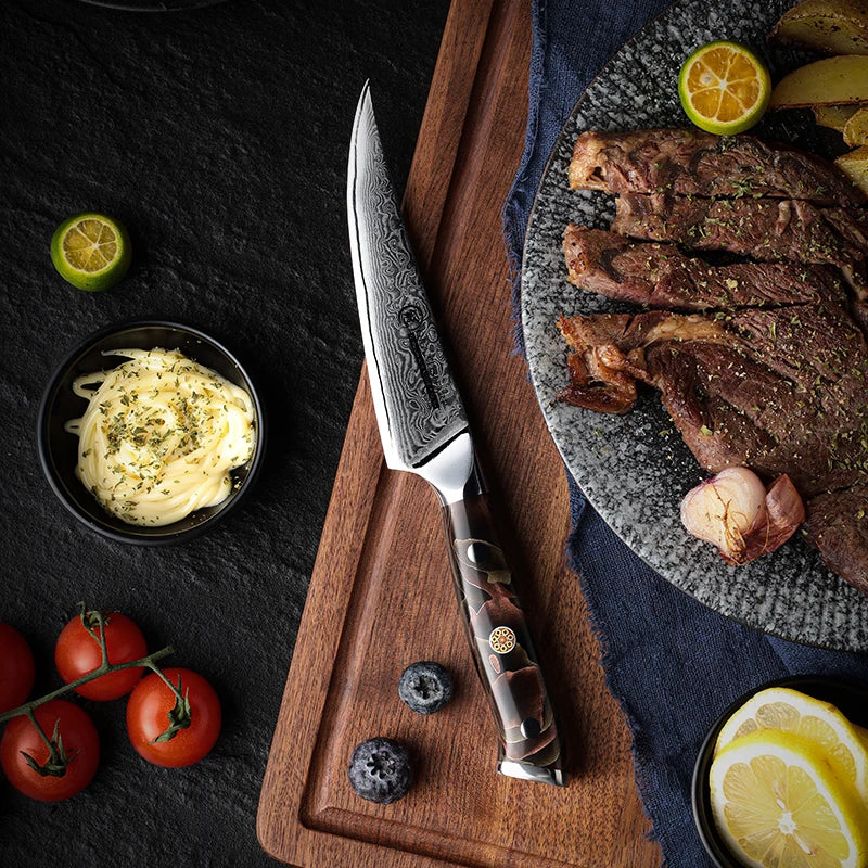 Grandsharp 5" Damascus Steel Steak Knife – 67-Layer Blade Damascus Kitchen Knife Axl