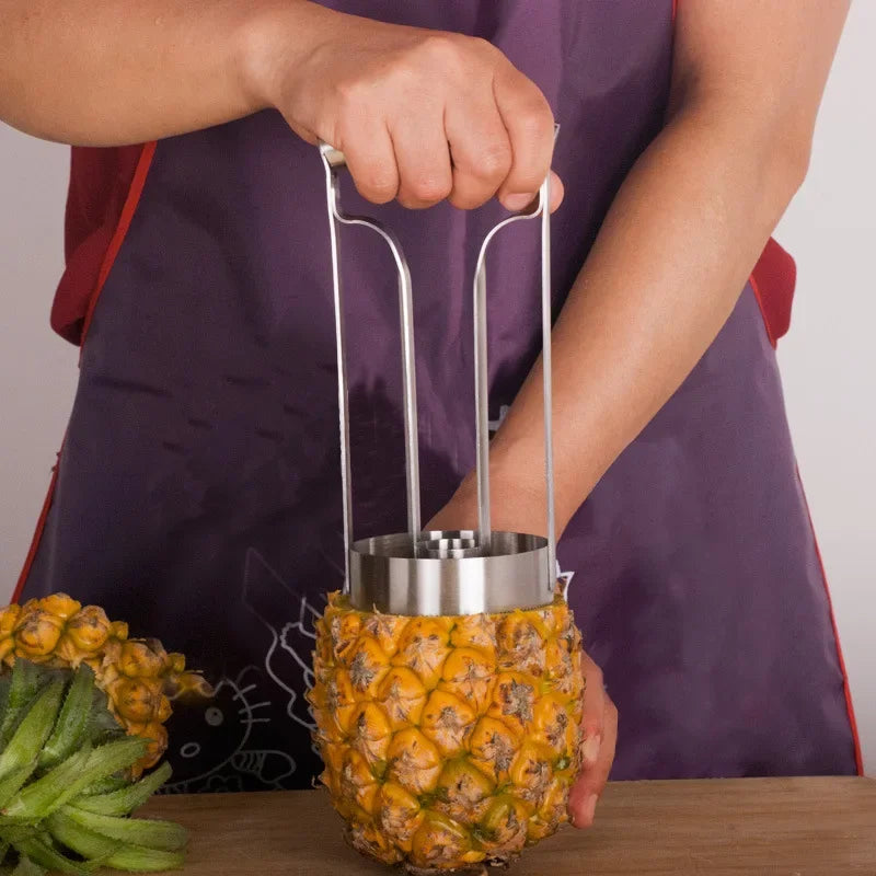 Stainless Steel Pineapple Corer Slicer & Peeler Tool Fruit Corer Slicer Axl