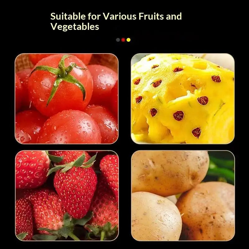 Stainless Steel Tomato Corer & Strawberry Huller Tool Fruit Corer Tool Axl