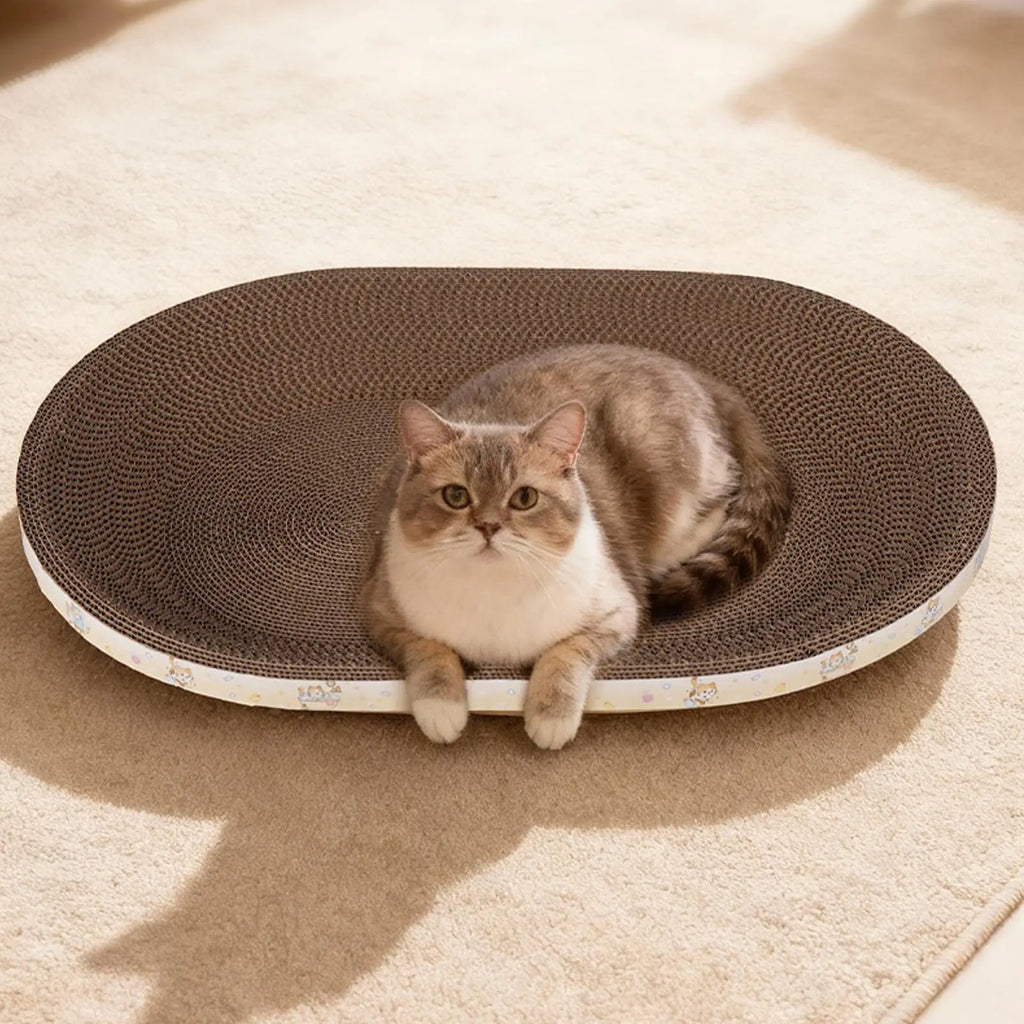 Oval Corrugated Cat Scratcher Board – Scratch & Lounge Pad Cat Scratcher Pad Axl