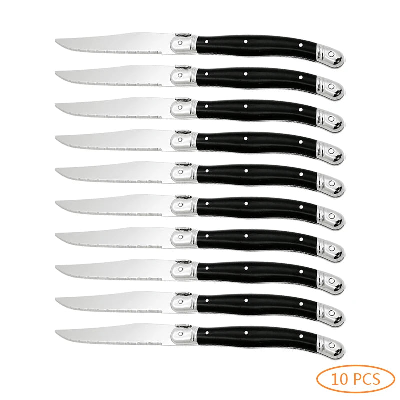 Laguiole Stainless Steel Cutlery Set – Knives, Forks & Spoons Flatware Cutlery Set Axl 10PCS Knife