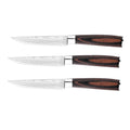 Stainless Steel Serrated Steak Knife with Plastic Handle Serrated Steak Knife Axl 3pcs