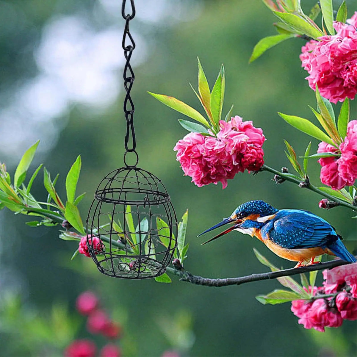 Metal Hanging Suet Ball Bird Feeder with Hook – Garden & Yard Suet Ball Bird Feeder Axl