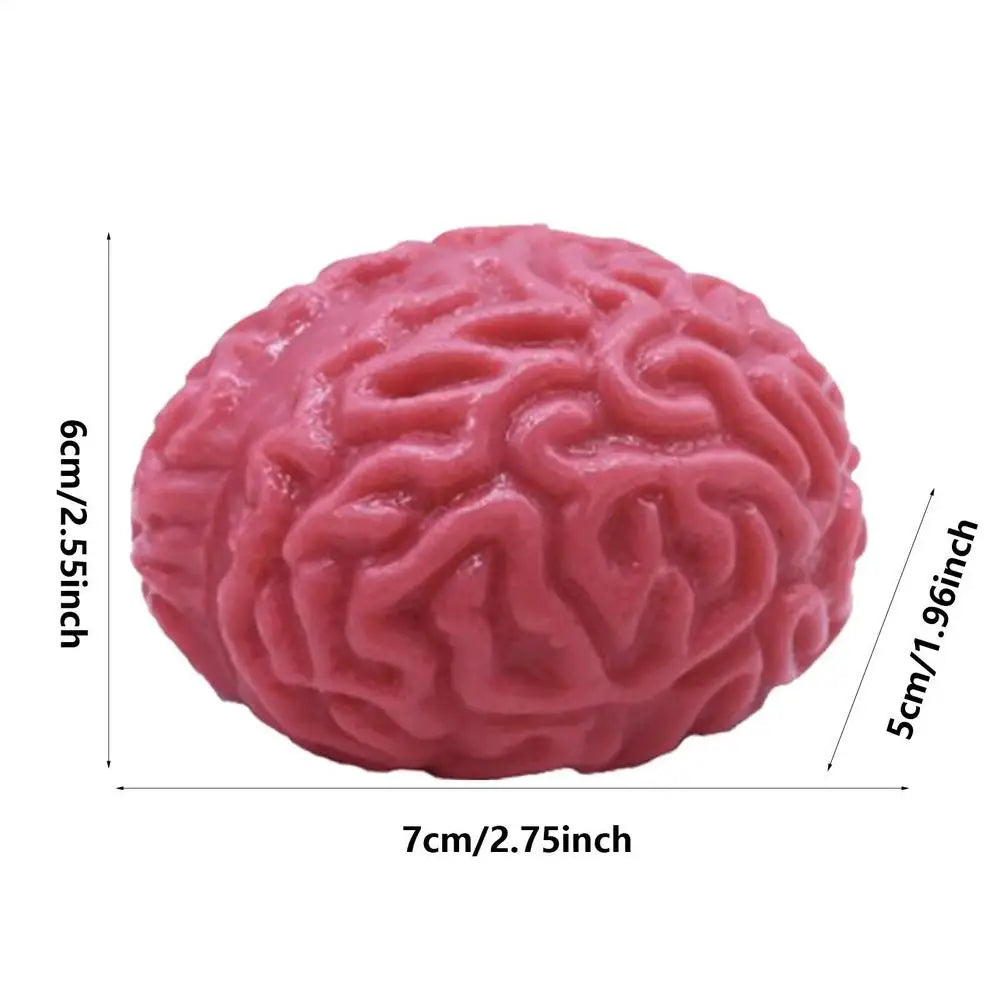 Realistic Brain Squeeze Ball – Halloween Stress Toy & Prop Halloween Novelty Toy Axl Brain