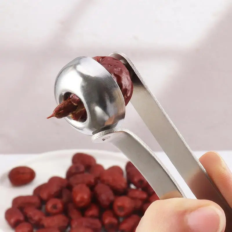 Stainless Steel Cherry Pitter – Fast One-Press Fruit Corer Fruit Pitter Tool Axl