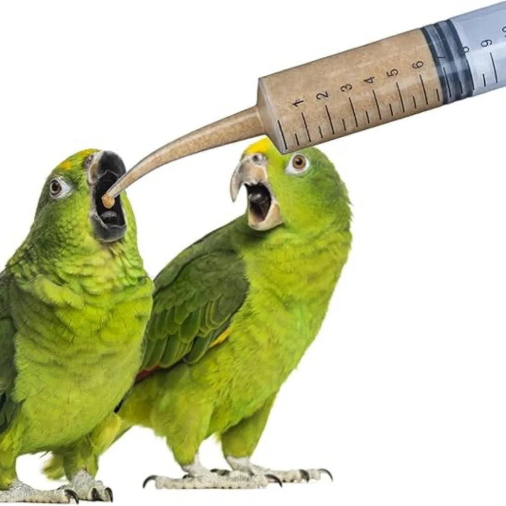 Pet Feeding Syringe 12ml – Oral Dosing for Birds & Small Pets Pet Feeding Syringe Axl