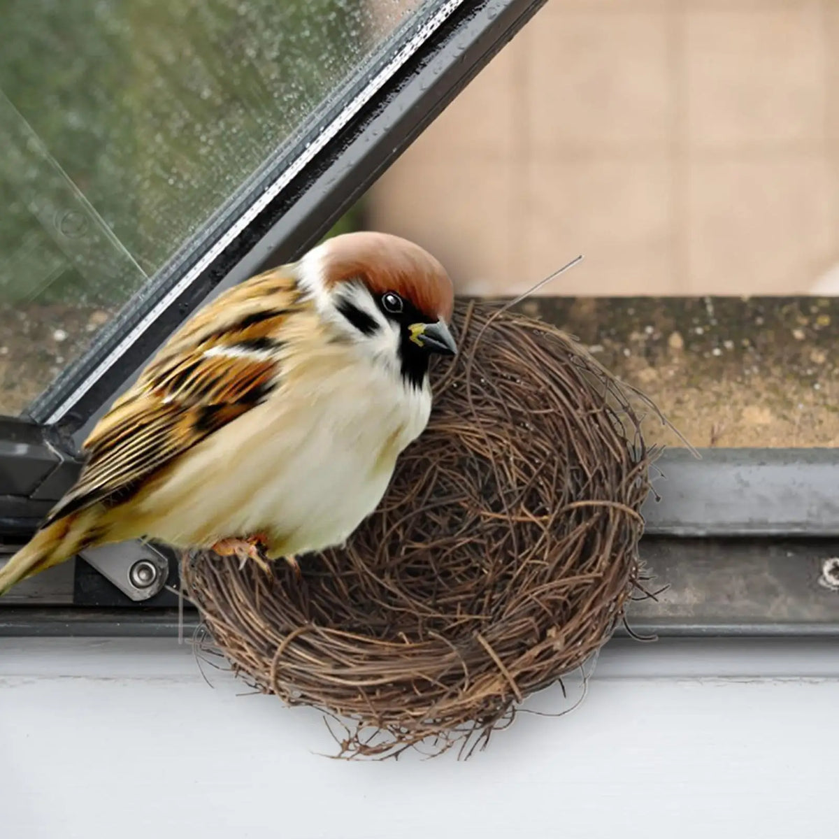 Handwoven Rattan Bird Nest – Parakeet & Small Animal Cage House Bird Nest House Axl