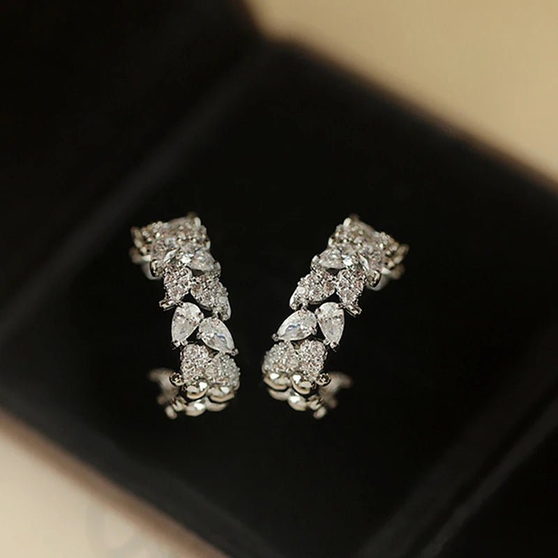 Huitan Silver Hoop Earrings – Cubic Zirconia Fashion Jewelry Hoop Earrings Axl E3252