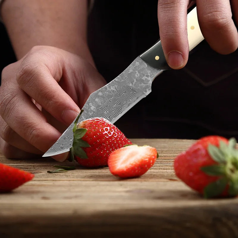 InLeung VG10 Damascus Steel Kitchen Knife – Wood Handle Damascus Kitchen Knife Axl