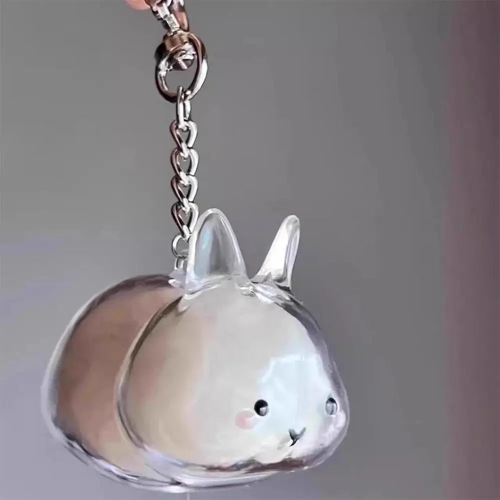 Rabbit Pet Fur Keepsake Capsule Keychain – Transparent Pendant Keepsake Keychain Axl