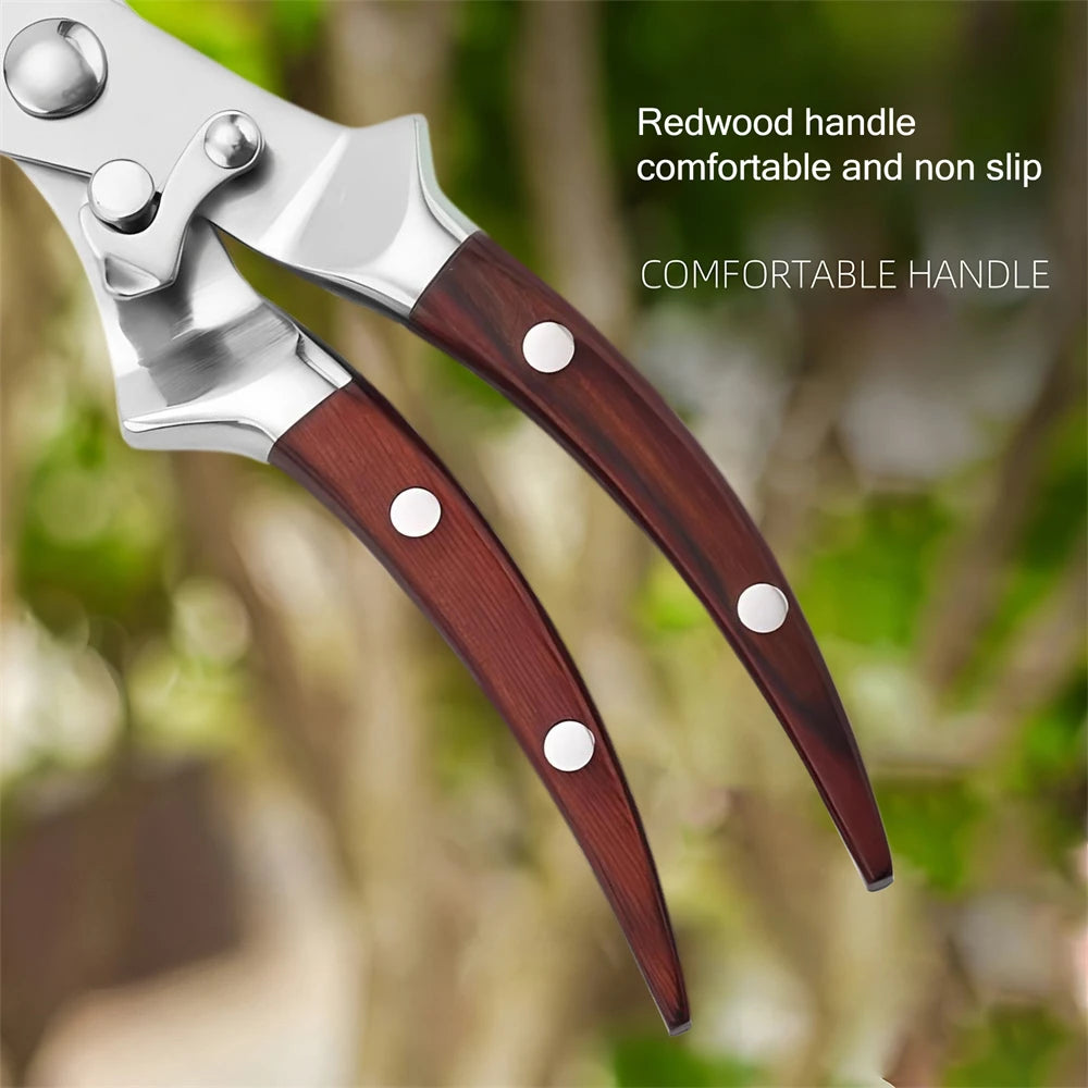 Garden Pruning Scissors – Flower, Leaf & Branch Shears 1-2 PCS Pruning Shears Axl