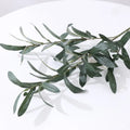 Artificial Olive Branches with Fruits – Fake Plant Home Decor Artificial Plant Stems Axl Green 1 1pieces