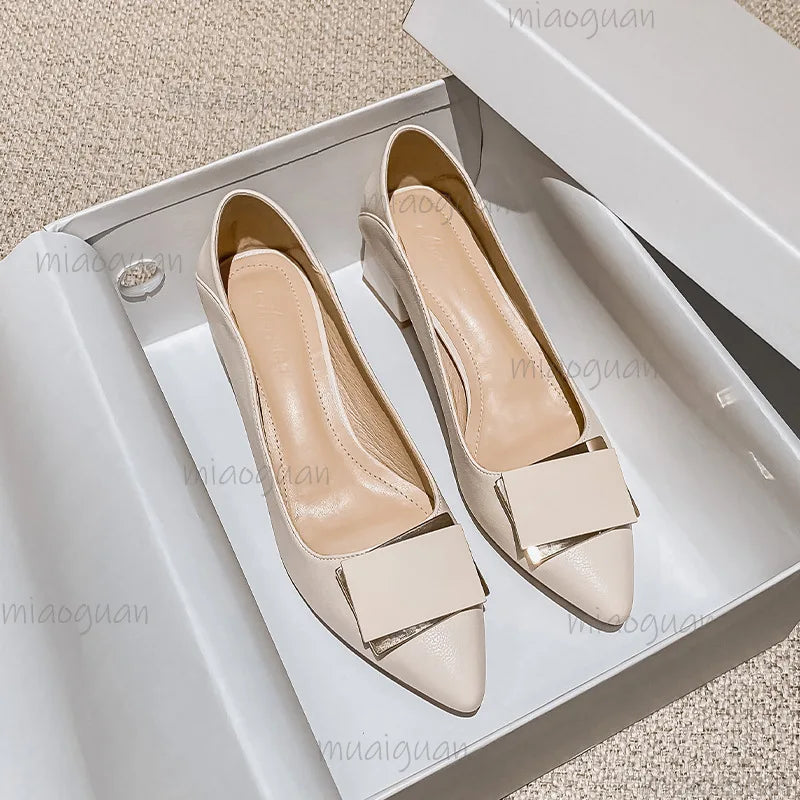Women's Low Heel Pumps – Pointed Toe Slip-On Dress Shoes Low Heel Pumps Axl