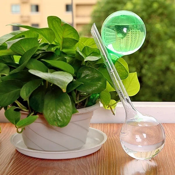 Self-Watering Plant Globe – PVC Drip Irrigation Bulb L/S Plant Watering Globe Axl