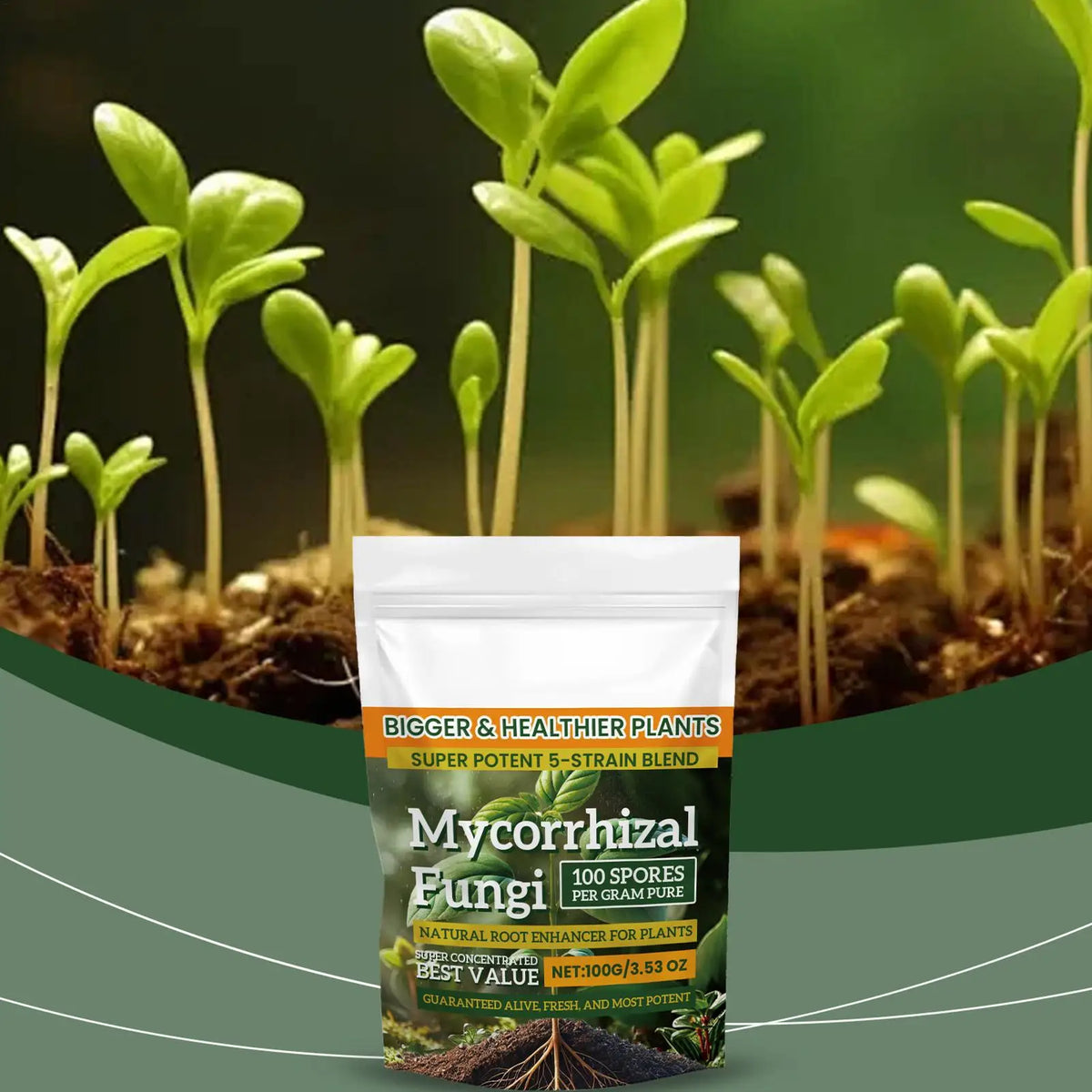 Plant Growth Enhancer Powder 100g – Root & Nutrient Fertilizer Plant Fertilizer Powder Axl Default Title