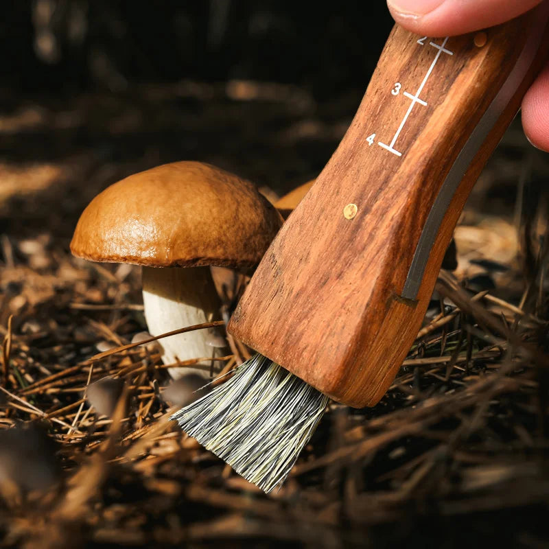 Mini Mushroom Foraging Knife – Rosewood Handle & Brush Folding Foraging Knife Axl