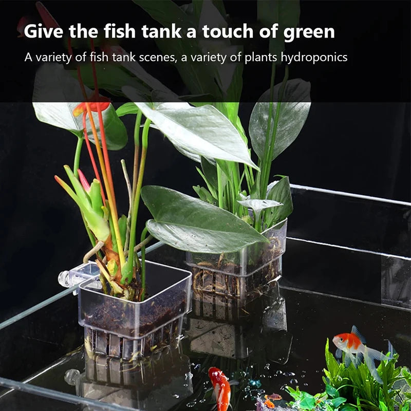 Wall-Mounted Aquarium Planter Cup – Fish Tank Plant Holder Aquarium Plant Holder Axl