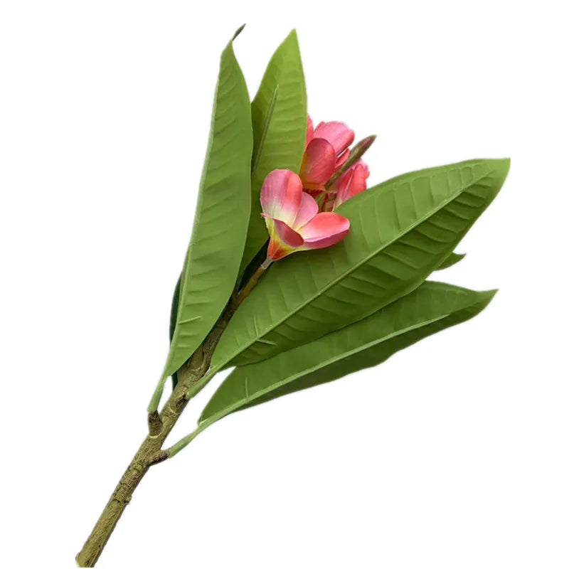 Artificial Plumeria Frangipani Flower Branch | Real Touch Leaves Artificial Flower Branch Axl