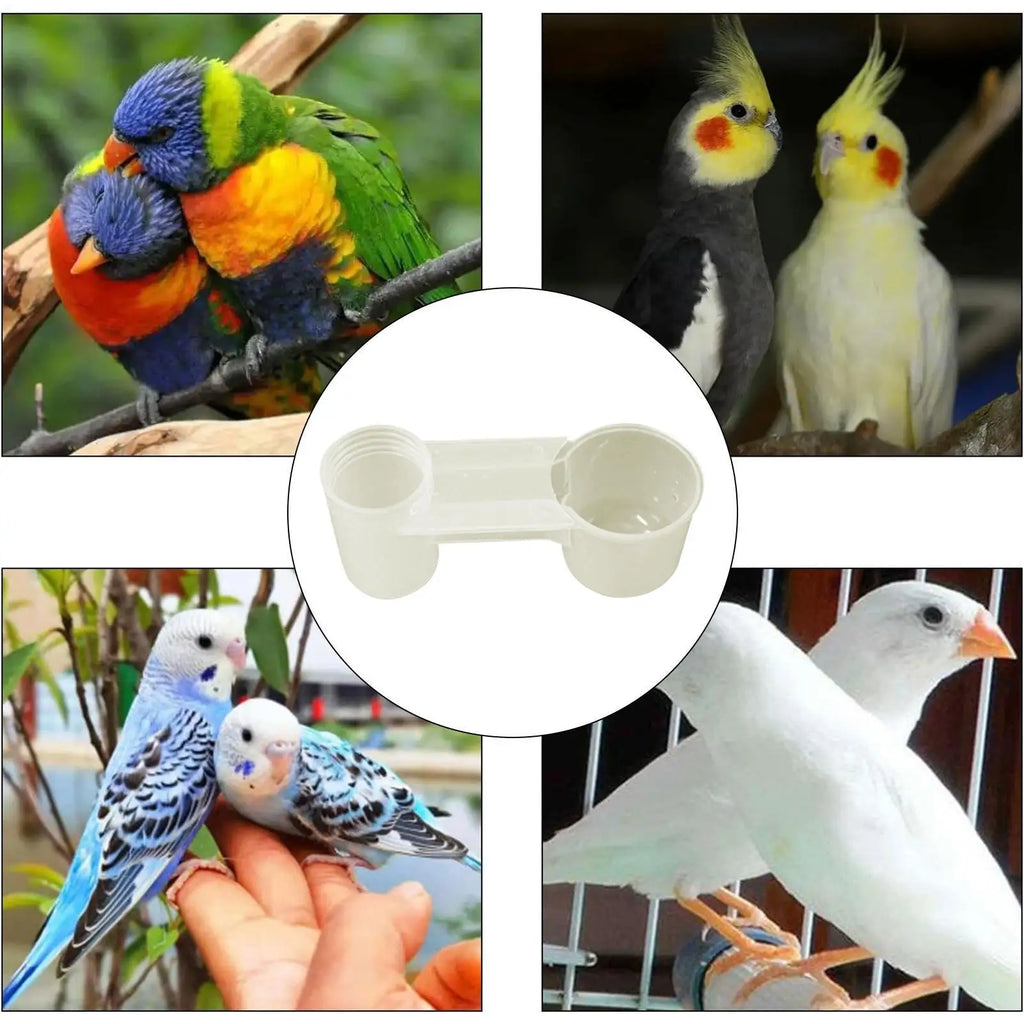 Double-Port Bird Water Dispenser – Splash-Proof Drinker Cup Bird Water Dispenser Axl