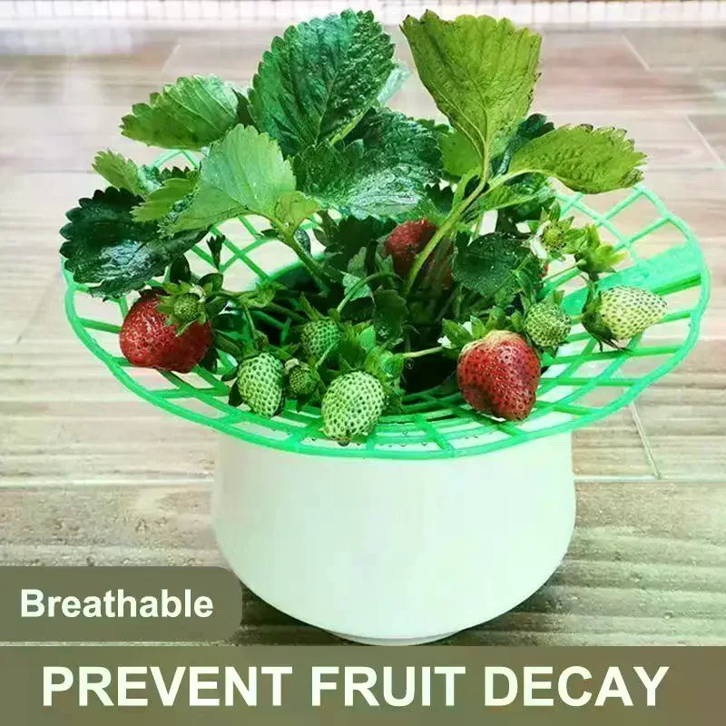 Strawberry Plant Support Stand – Round Pot Growing Rack Plant Support Rack Axl