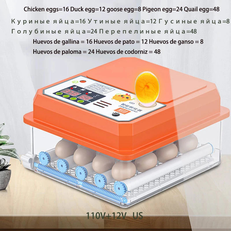 Automatic Egg Incubator – 16 Chicken/12 Duck Eggs, Auto Turner Egg Incubator Axl 16 US Plug China Mainland