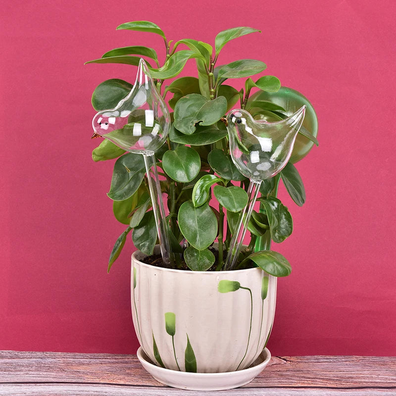 Bird-Shape Self-Watering Globe – Clear Glass Plant Waterer Self-Watering Globe Axl