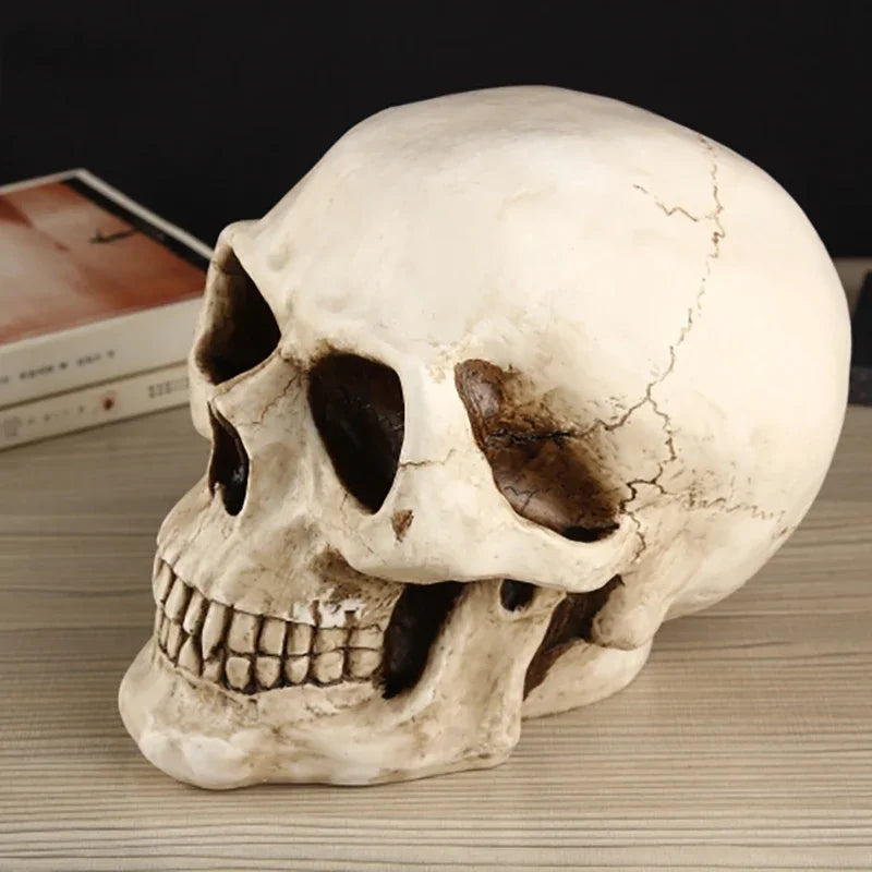 Skull Piggy Bank for Adults – Large Resin Coin & Cash Box Gift Decorative Piggy Bank Axl